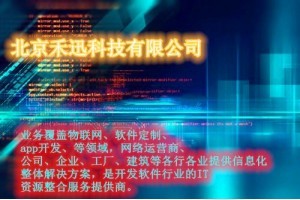 拓展定制軟件開(kāi)發(fā)——禾迅科技助力企業(yè)數(shù)字化轉(zhuǎn)型